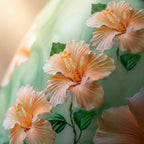 Hibiscus Flower